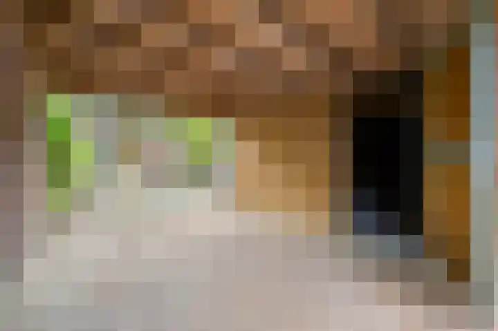 Zilvermeeuwlaan 38 Den Haag thumbnail 19