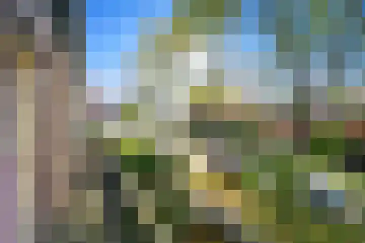 Zilvermeeuwlaan 38 Den Haag thumbnail 28