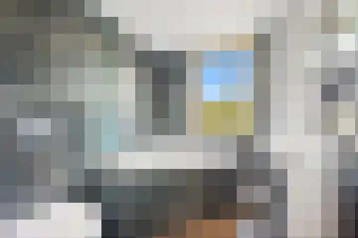 Zilvermeeuwlaan 38 Den Haag thumbnail 30