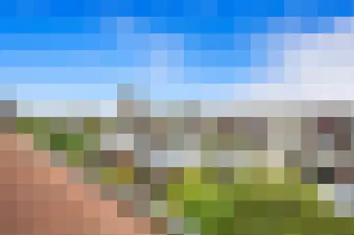 Zilvermeeuwlaan 38 Den Haag thumbnail 43