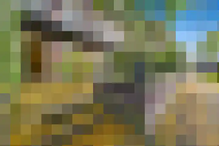 Zilvermeeuwlaan 38 Den Haag thumbnail 5