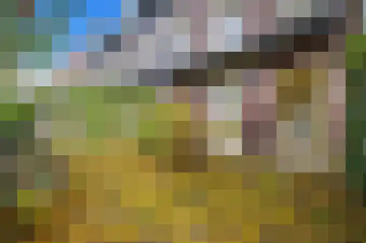 Zilvermeeuwlaan 38 Den Haag thumbnail 7