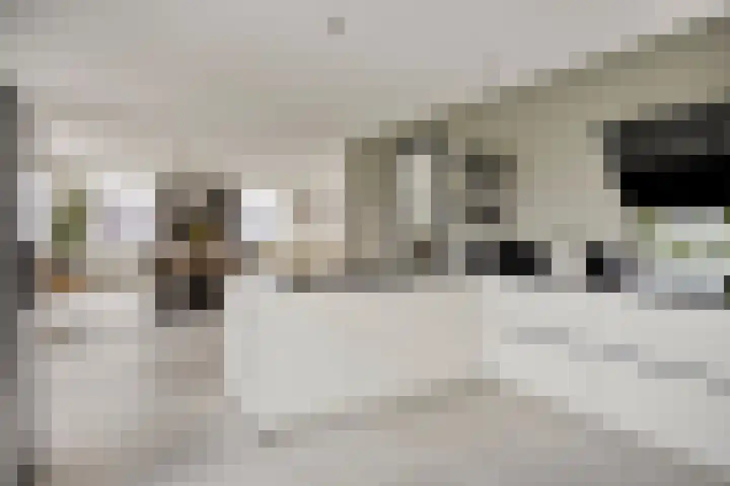 Zilvermeeuwlaan 48 Almere thumbnail 24