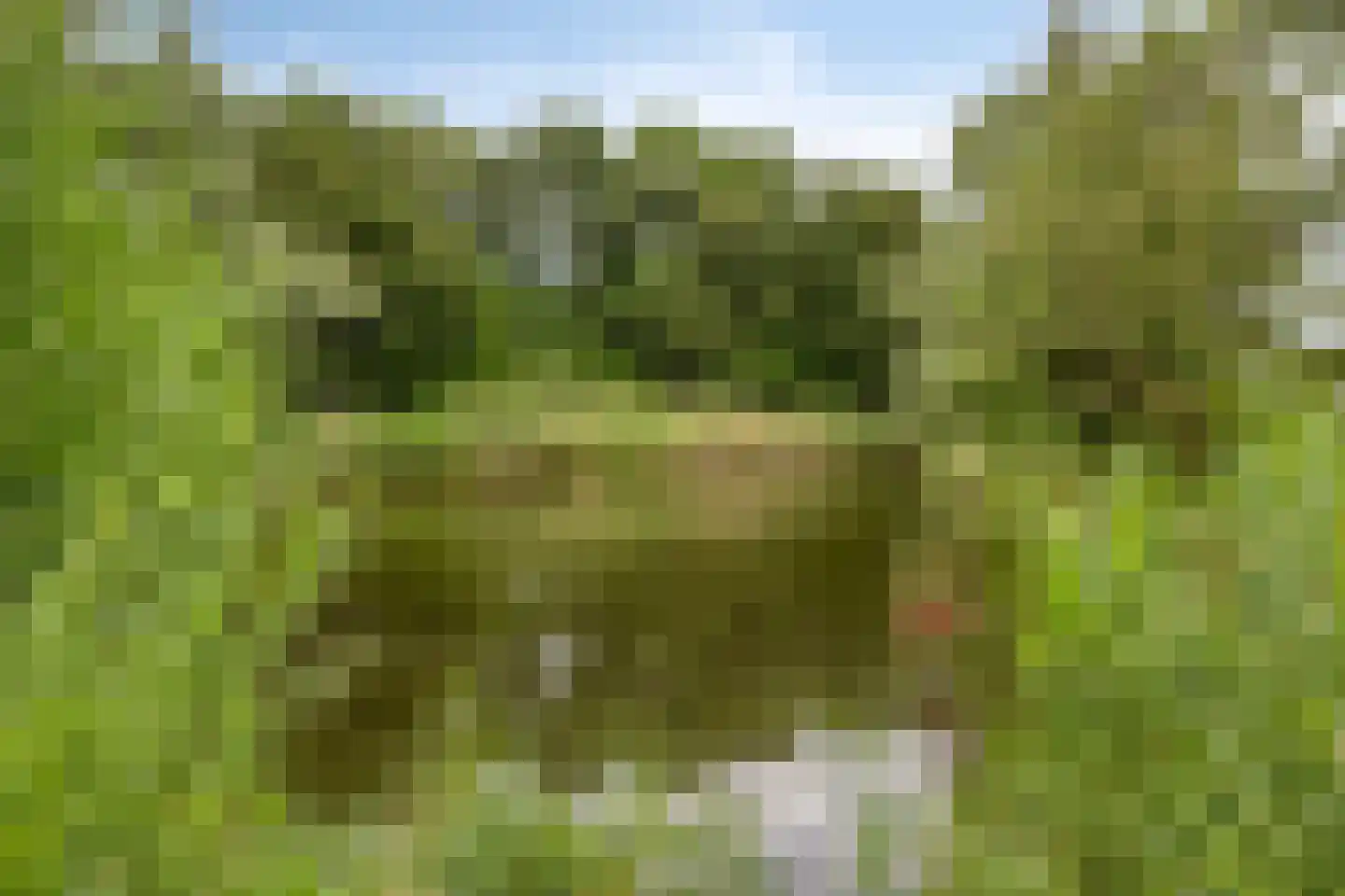 Zilvermeeuwlaan 48 Almere thumbnail 81