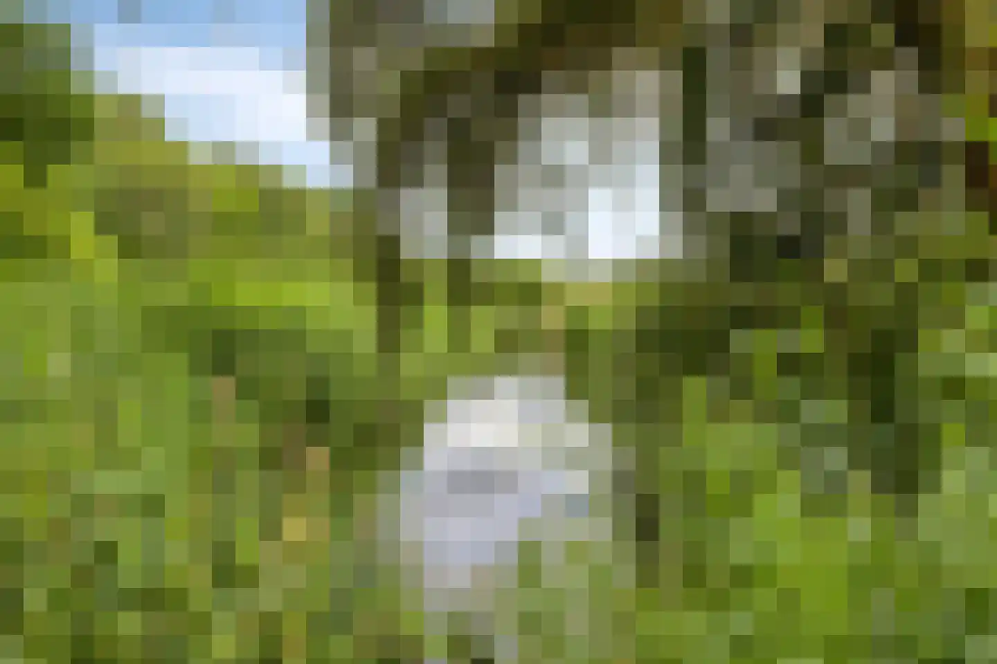 Zilvermeeuwlaan 48 Almere thumbnail 82
