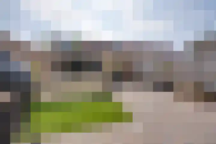 Zilvermeeuwplantsoen 6 Volendam thumbnail 22
