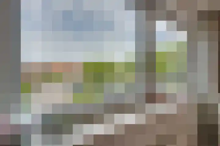 Zilvermeeuwplantsoen 6 Volendam thumbnail 37