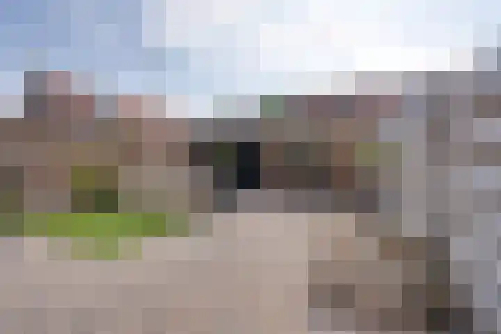 Zilvermeeuwplantsoen 6 Volendam thumbnail 4