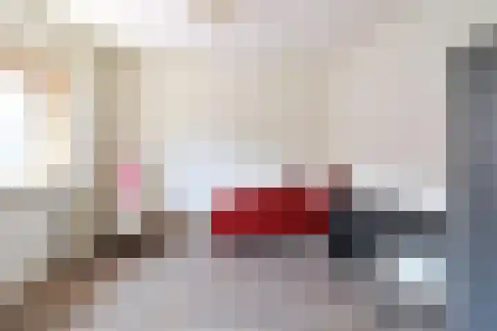 Zilvermeeuwstraat 10 Hilversum thumbnail 11