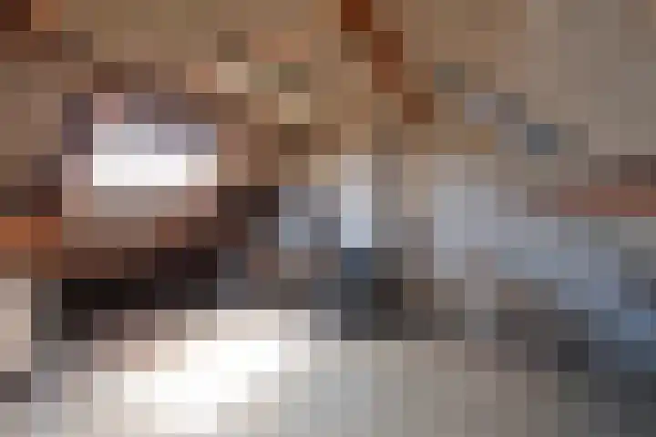 Zilvermeeuwstraat 10 Hilversum thumbnail 13