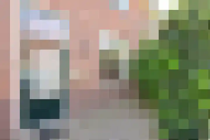 Zilvermeeuwstraat 10 Hilversum thumbnail 15