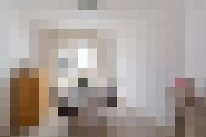 Zilvermeeuwstraat 10 Hilversum thumbnail 5