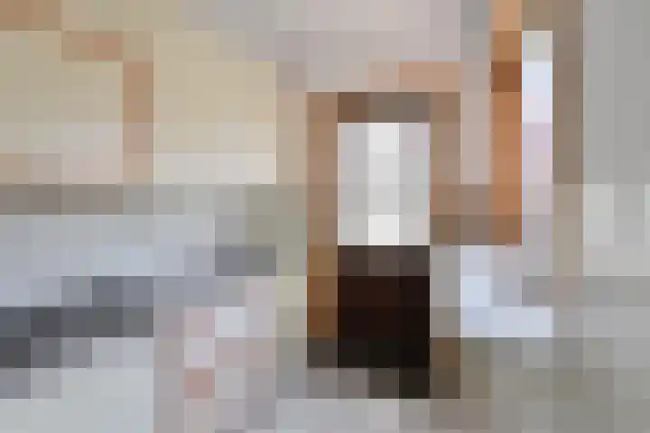 Zilvermeeuwstraat 10 Hilversum thumbnail 7