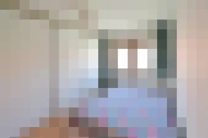 Zilvermeeuwstraat 10 Hilversum thumbnail 8