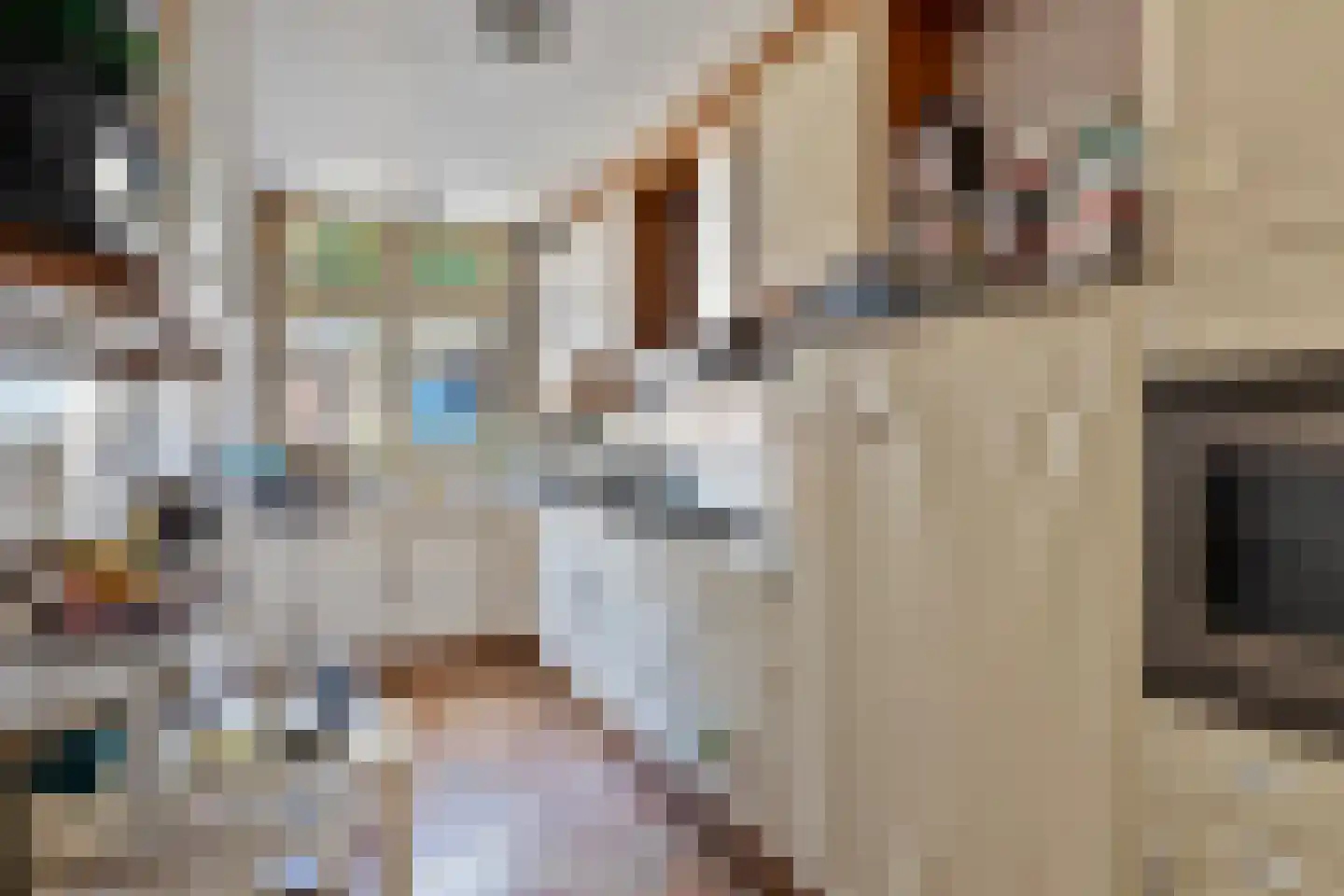 Zilvermeeuwstraat 21 Hilversum thumbnail 10