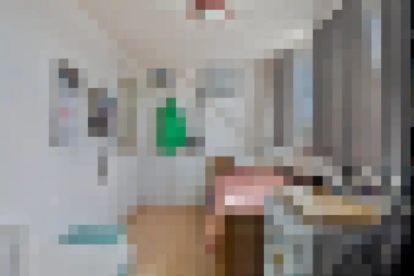 Zilvermeeuwstraat 21 Hilversum thumbnail 15