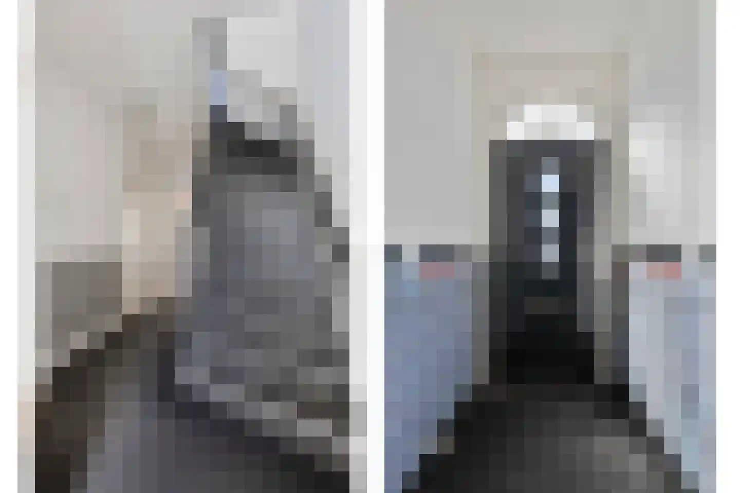 Zilvermeeuwstraat 21 Hilversum thumbnail 9