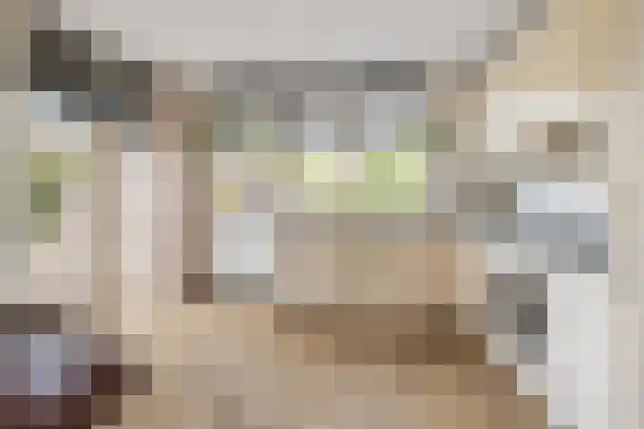 Zilvermeeuwstraat 5 Alkmaar thumbnail 12