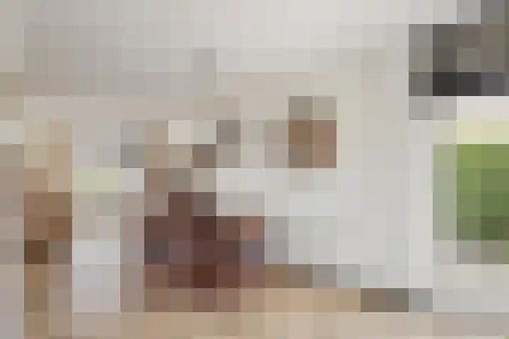 Zilvermeeuwstraat 5 Alkmaar thumbnail 13