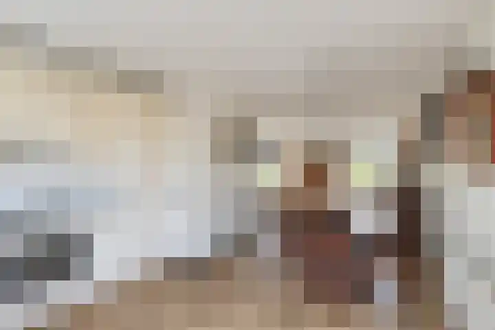 Zilvermeeuwstraat 5 Alkmaar thumbnail 14