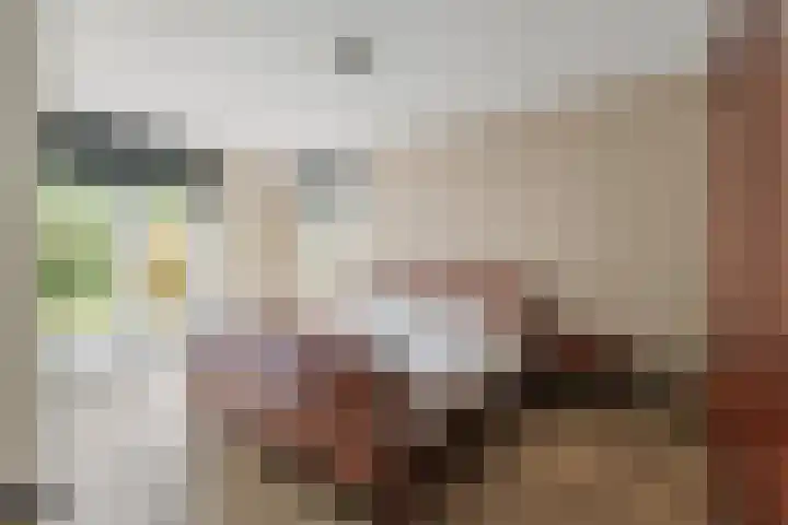 Zilvermeeuwstraat 5 Alkmaar thumbnail 20