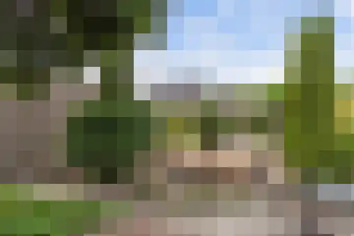 Zilvermeeuwstraat 5 Alkmaar thumbnail 31