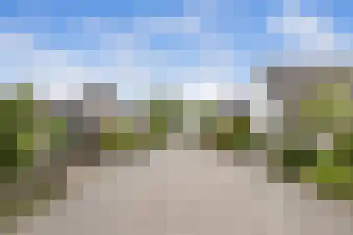 Zilvermeeuwstraat 5 Alkmaar thumbnail 35
