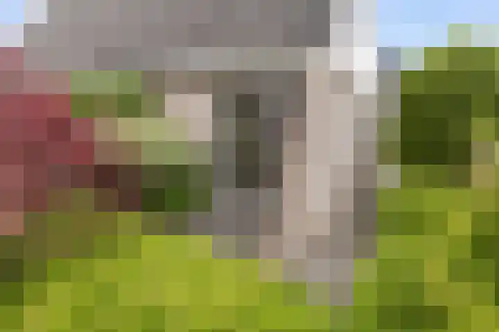 Zilvermeeuwstraat 5 Alkmaar thumbnail 39