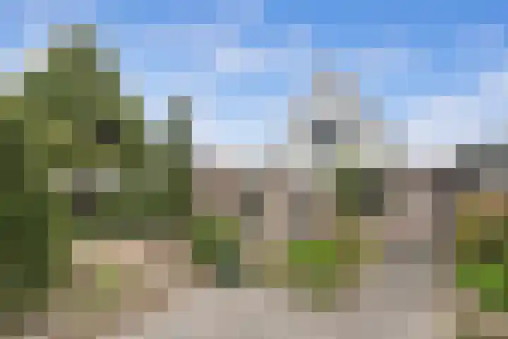 Zilvermeeuwstraat 5 Alkmaar thumbnail 4