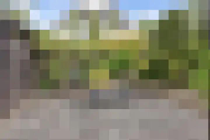 Zilvermeeuwstraat 5 Alkmaar thumbnail 50
