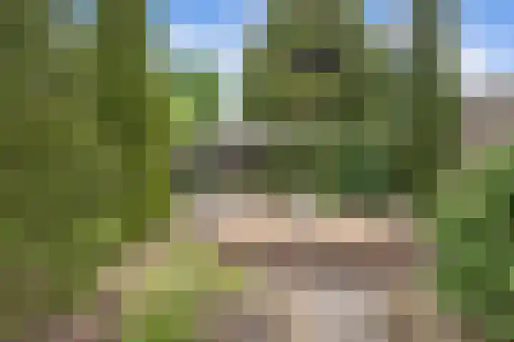 Zilvermeeuwstraat 5 Alkmaar thumbnail 53