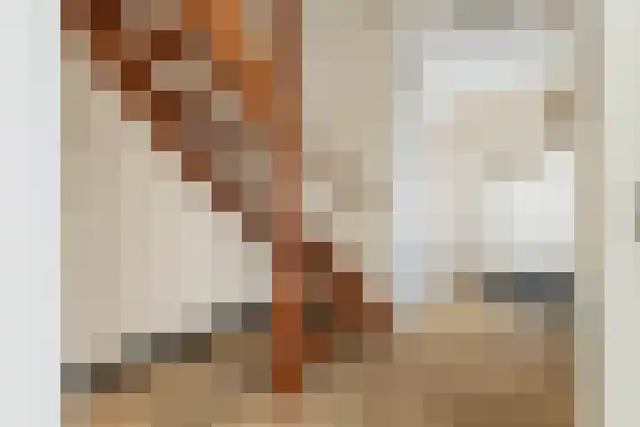 Zilvermeeuwstraat 5 Alkmaar thumbnail 7