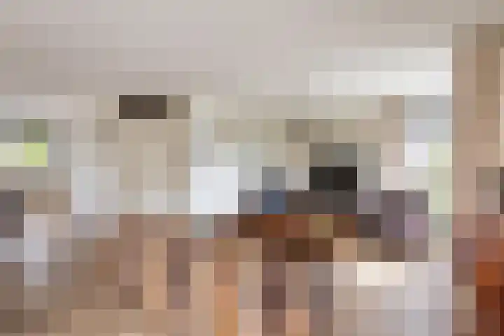Zilvermeeuwstraat 5 Alkmaar thumbnail 9