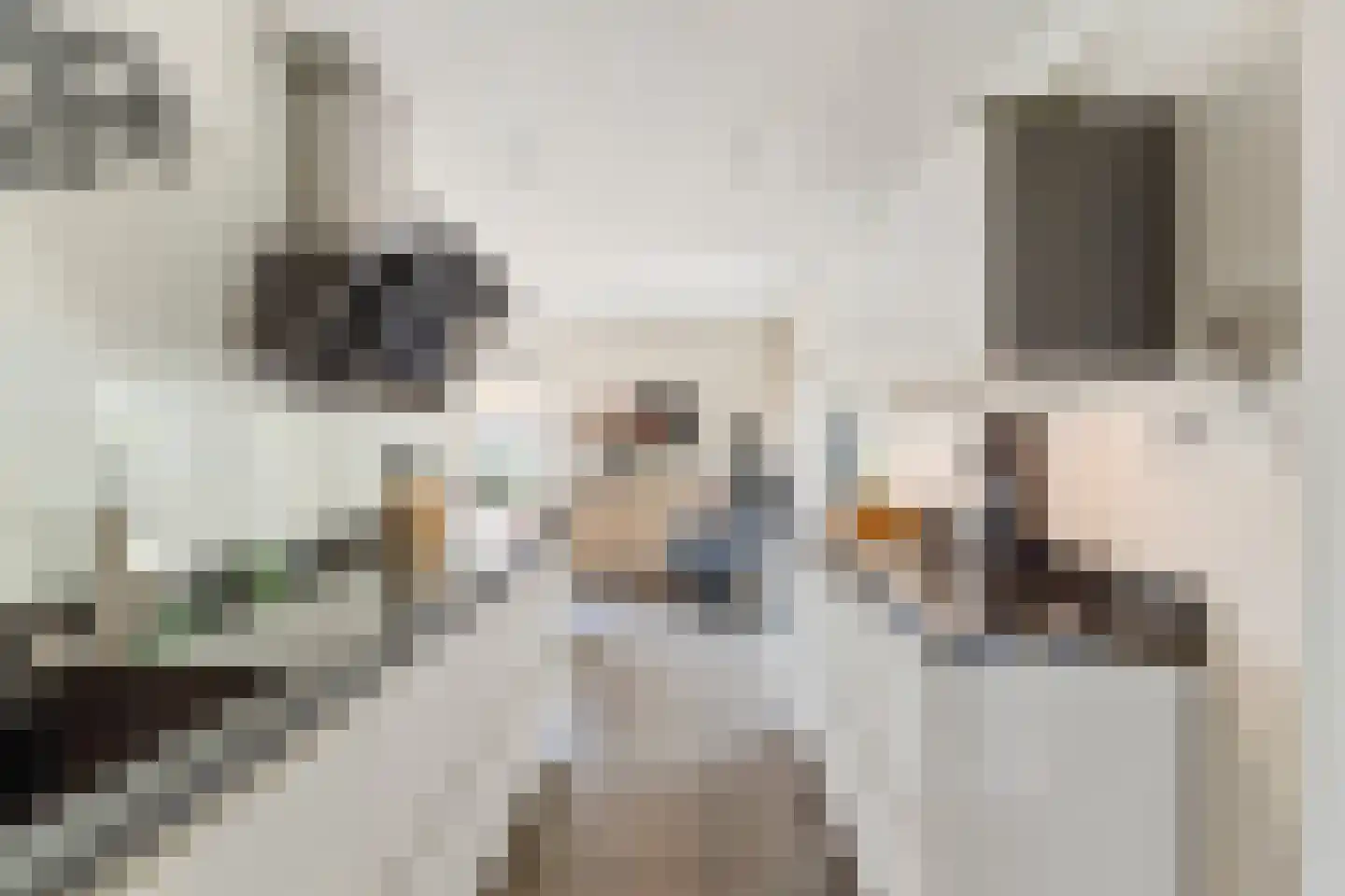 Zilvermeeuwstraat 6 Alkmaar thumbnail 11