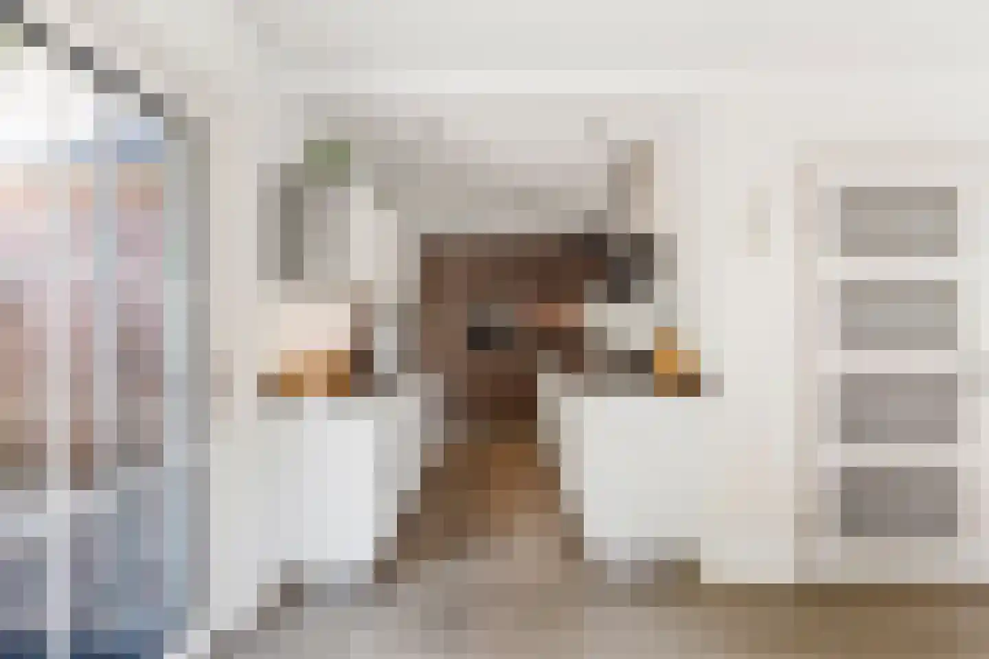 Zilvermeeuwstraat 6 Alkmaar thumbnail 12