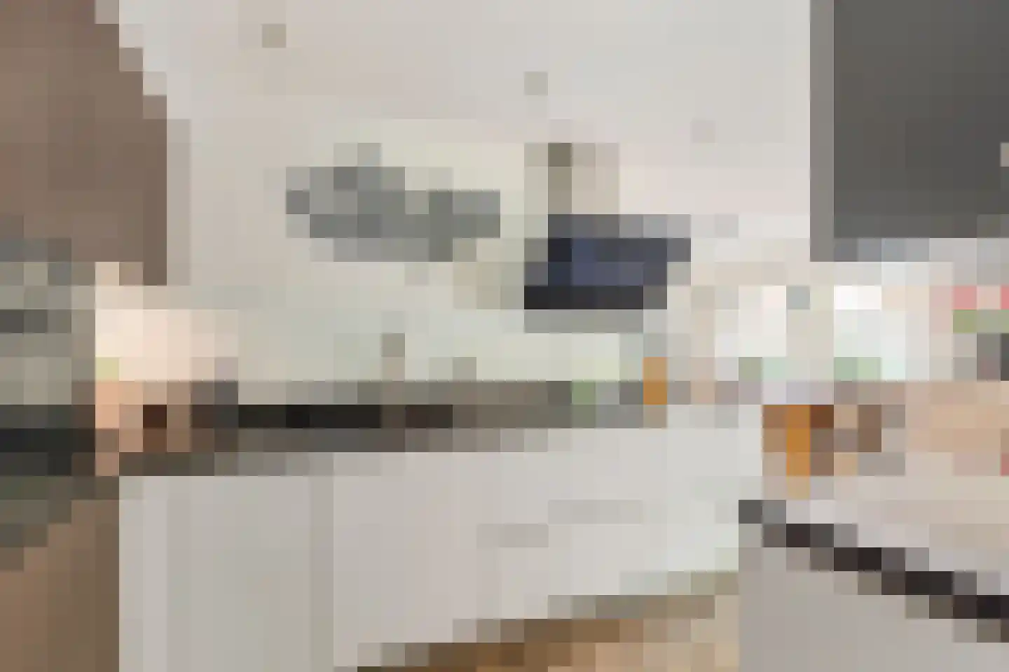 Zilvermeeuwstraat 6 Alkmaar thumbnail 13