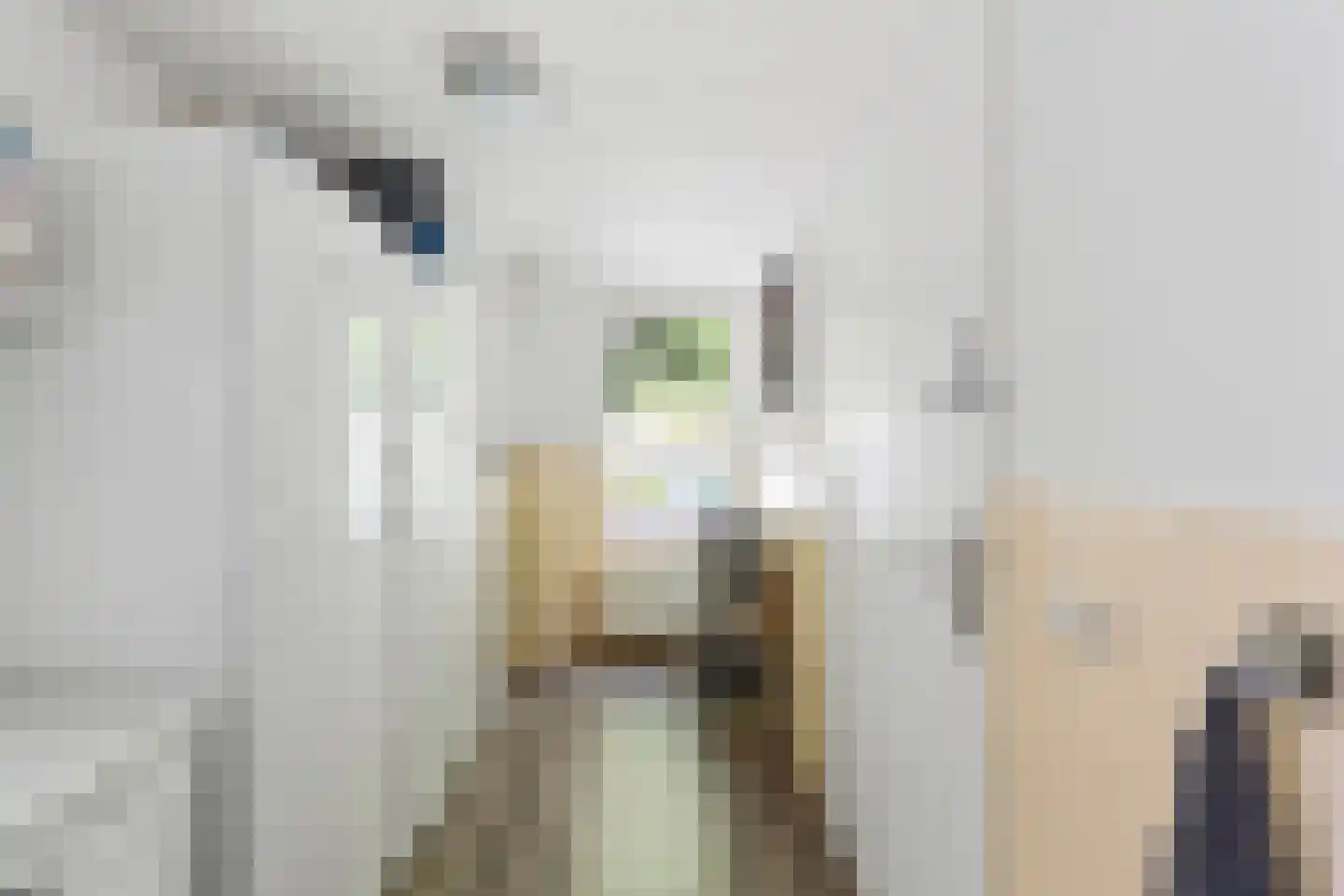 Zilvermeeuwstraat 6 Alkmaar thumbnail 14
