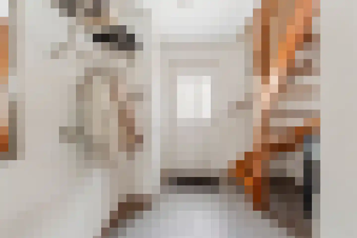 Zilvermeeuwstraat 6 Alkmaar thumbnail 17