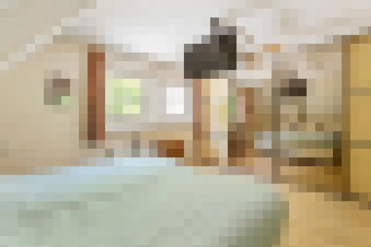 Zilvermeeuwstraat 6 Alkmaar thumbnail 19