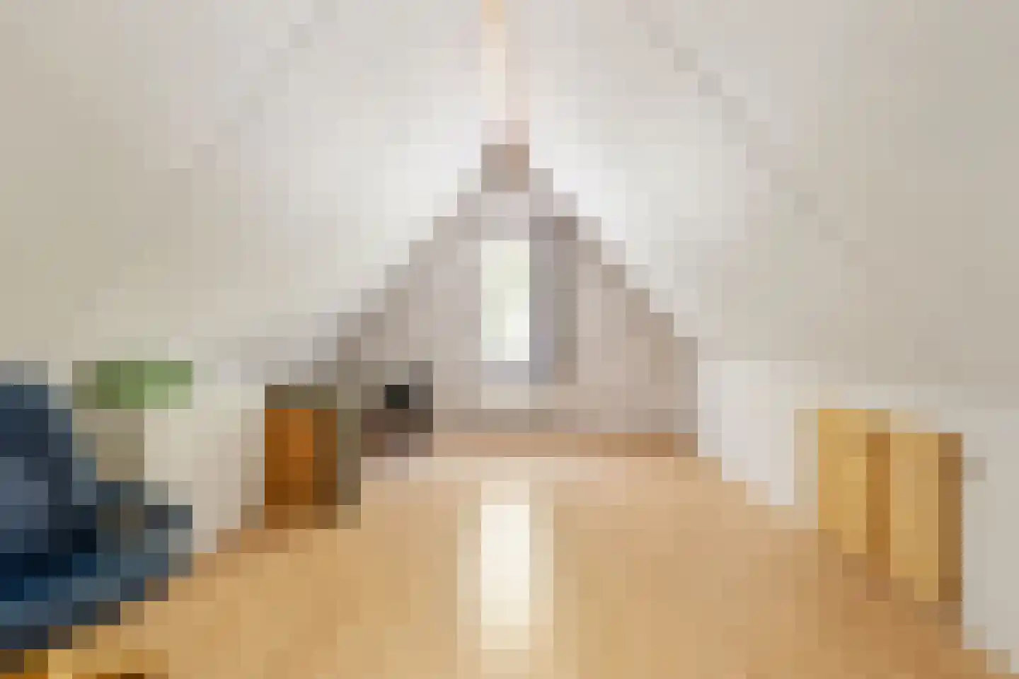 Zilvermeeuwstraat 6 Alkmaar thumbnail 20