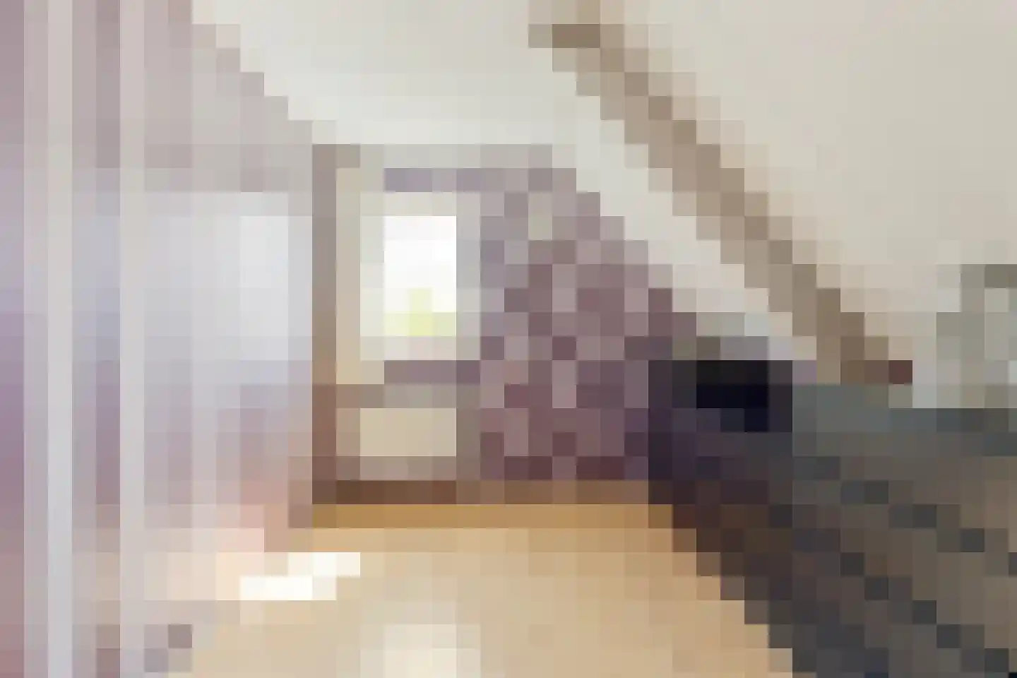 Zilvermeeuwstraat 6 Alkmaar thumbnail 25
