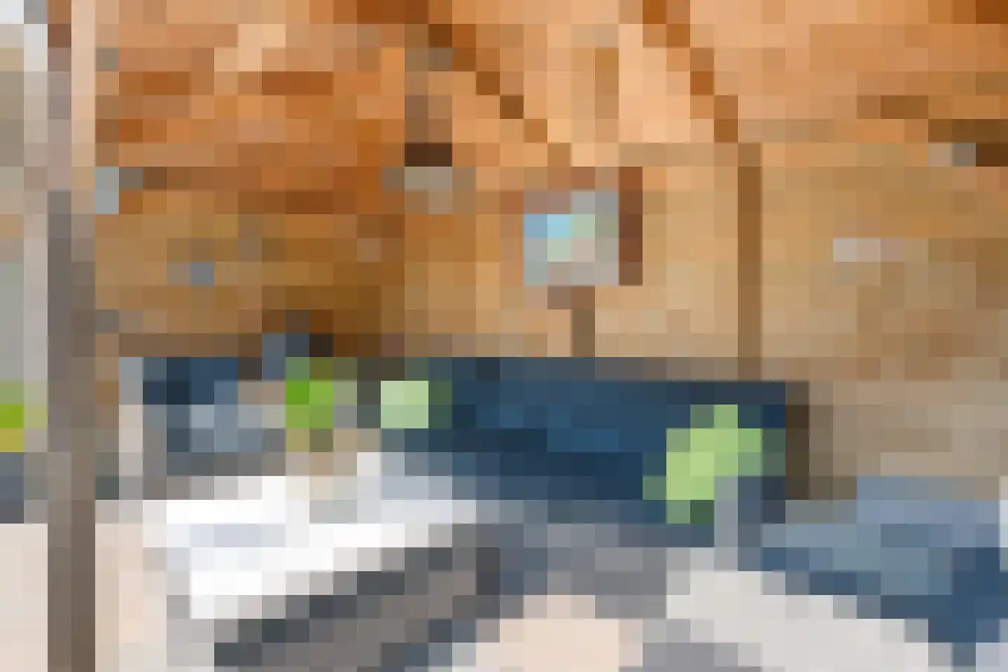 Zilvermeeuwstraat 6 Alkmaar thumbnail 33