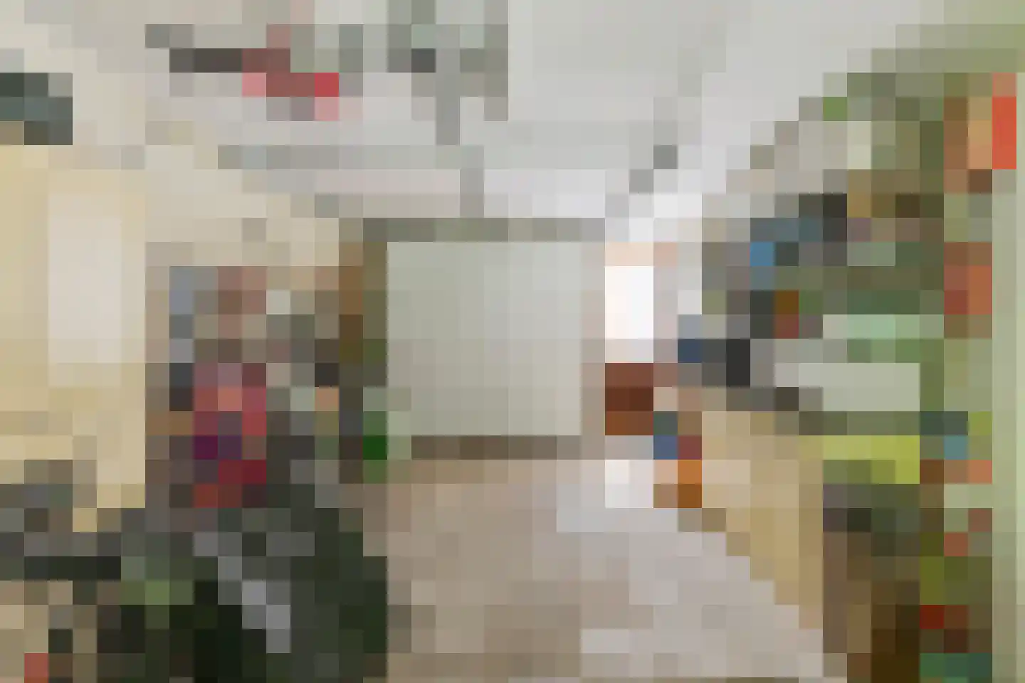Zilvermeeuwstraat 6 Alkmaar thumbnail 37