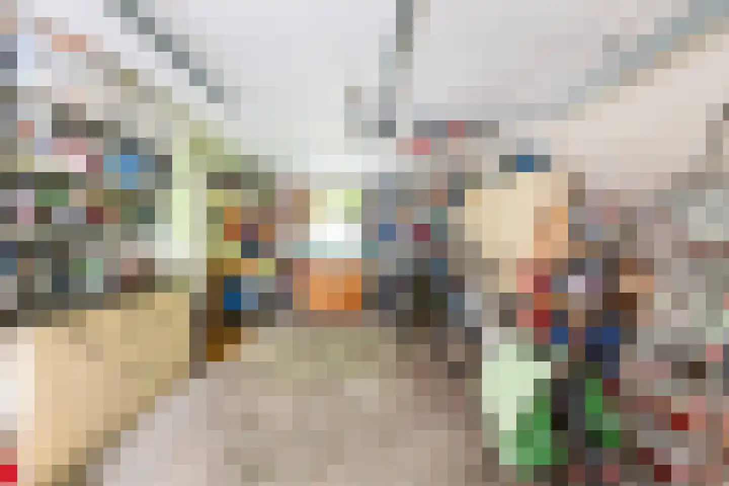 Zilvermeeuwstraat 6 Alkmaar thumbnail 38
