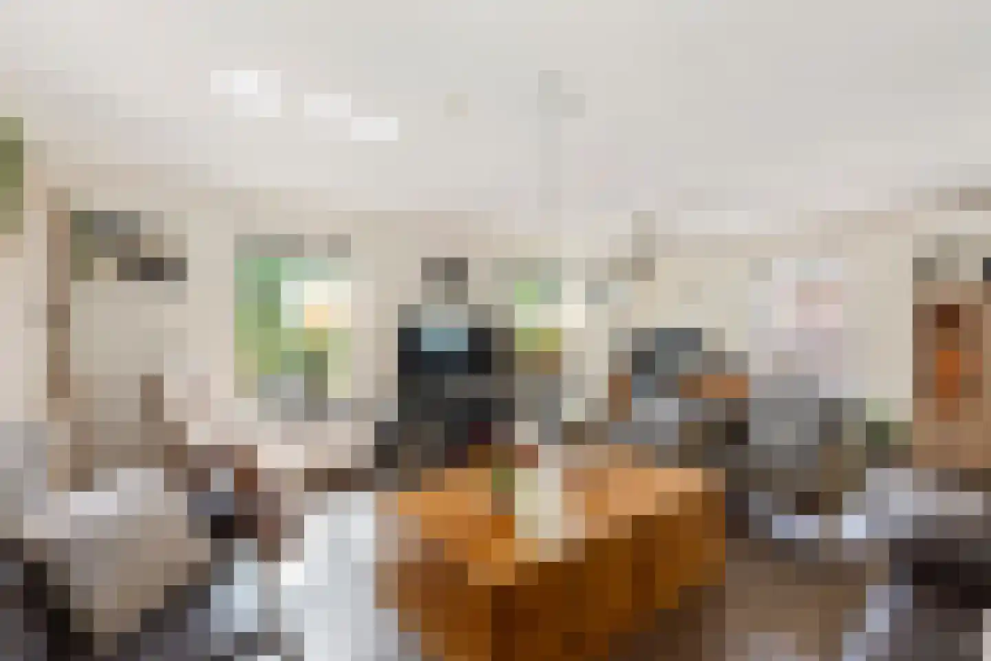 Zilvermeeuwstraat 6 Alkmaar thumbnail 5