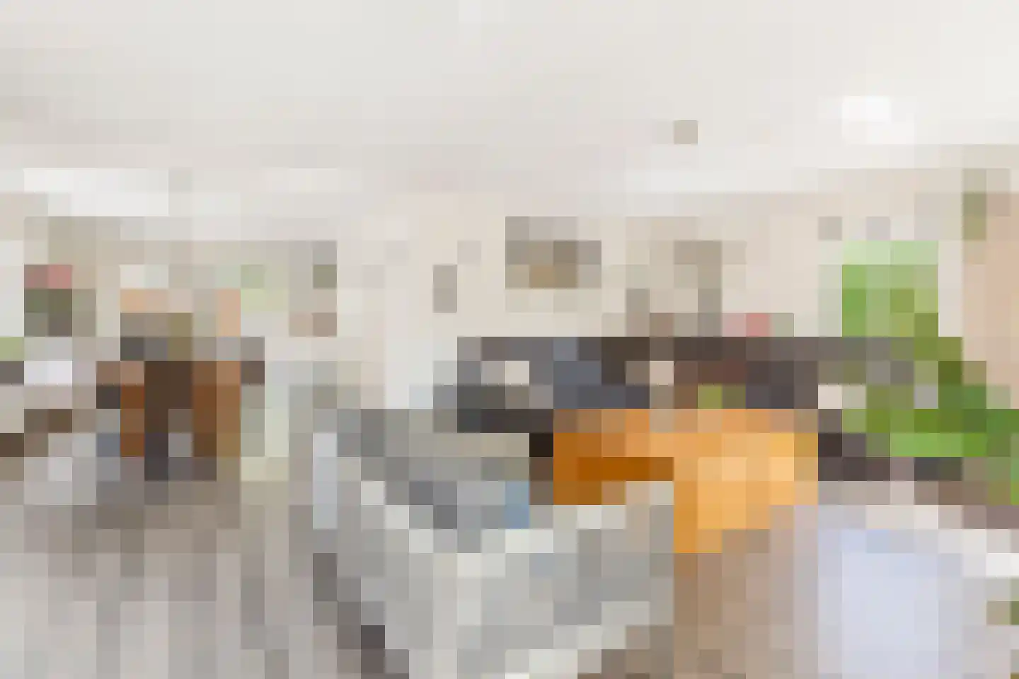Zilvermeeuwstraat 6 Alkmaar thumbnail 6