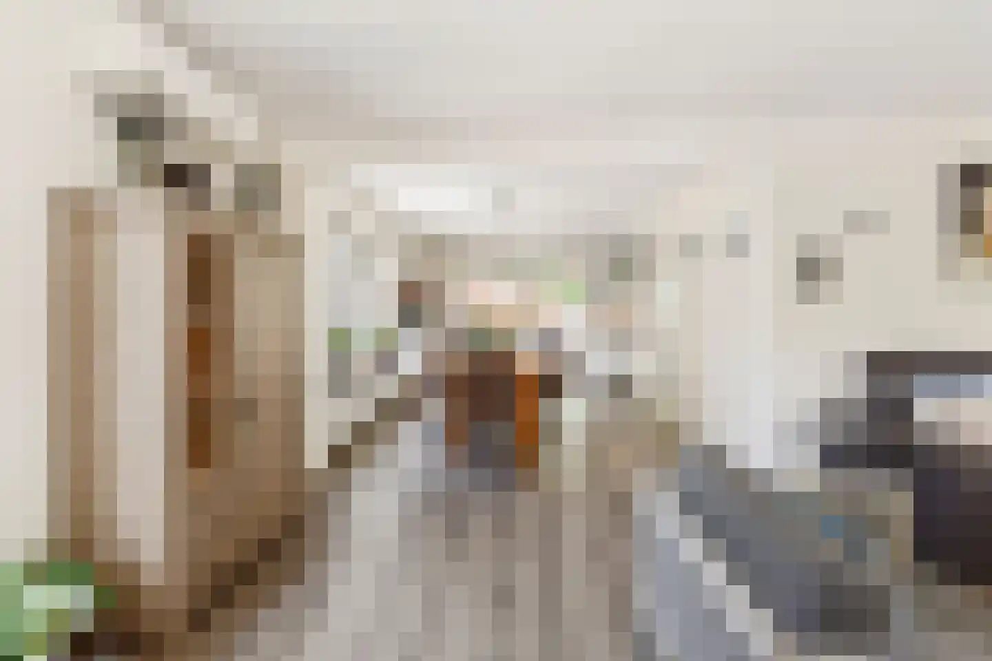Zilvermeeuwstraat 6 Alkmaar thumbnail 7