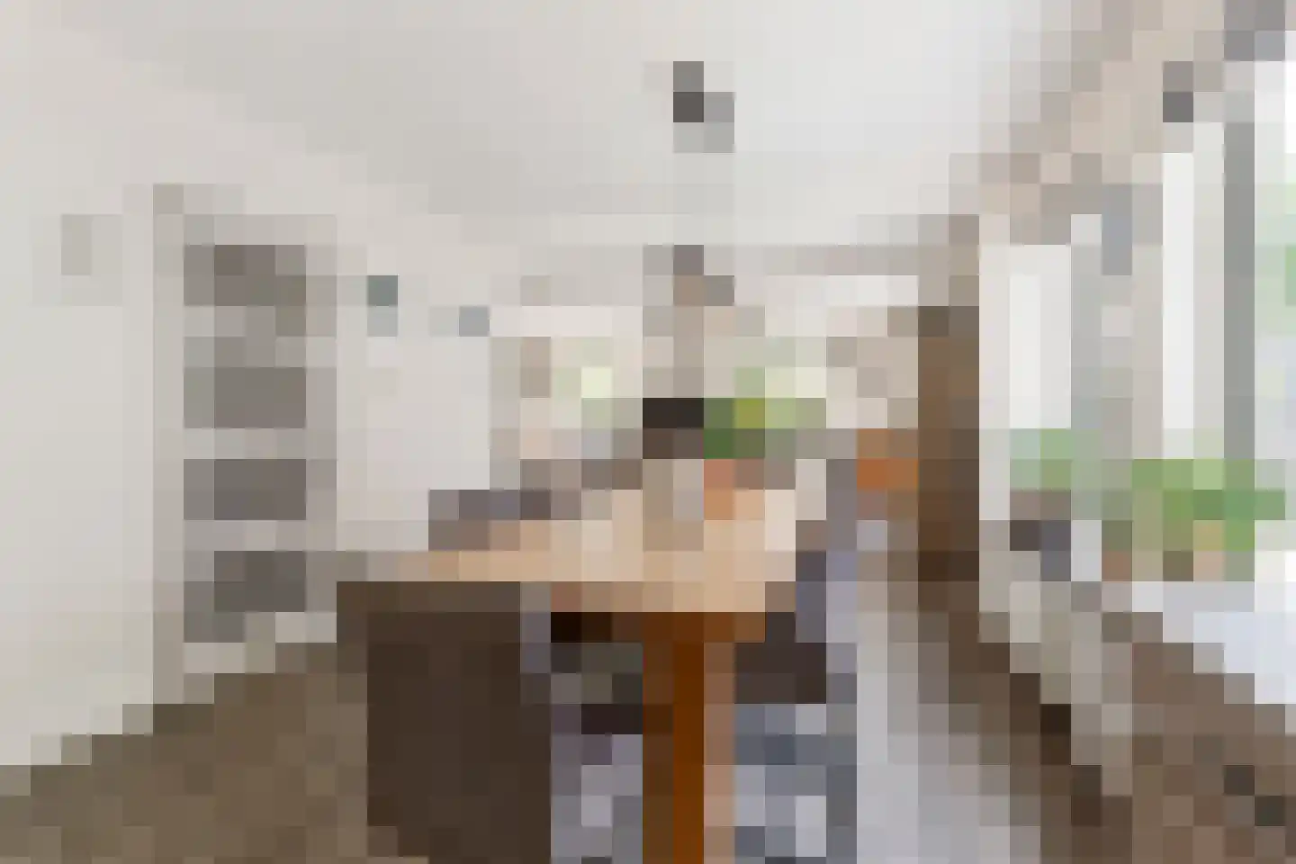Zilvermeeuwstraat 6 Alkmaar thumbnail 8