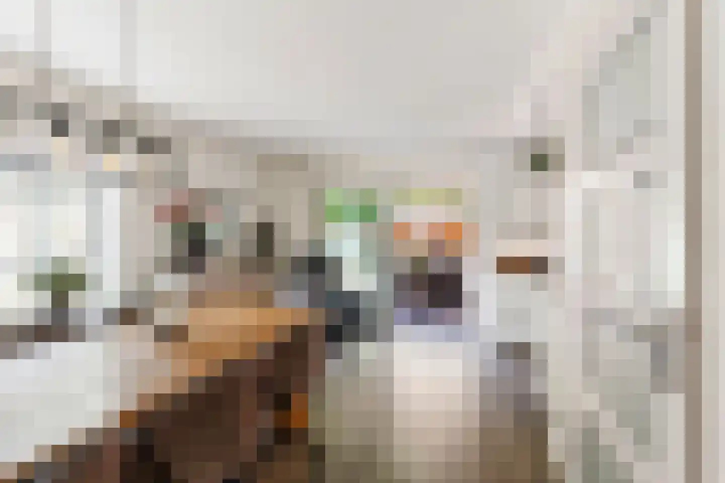 Zilvermeeuwstraat 6 Alkmaar thumbnail 9