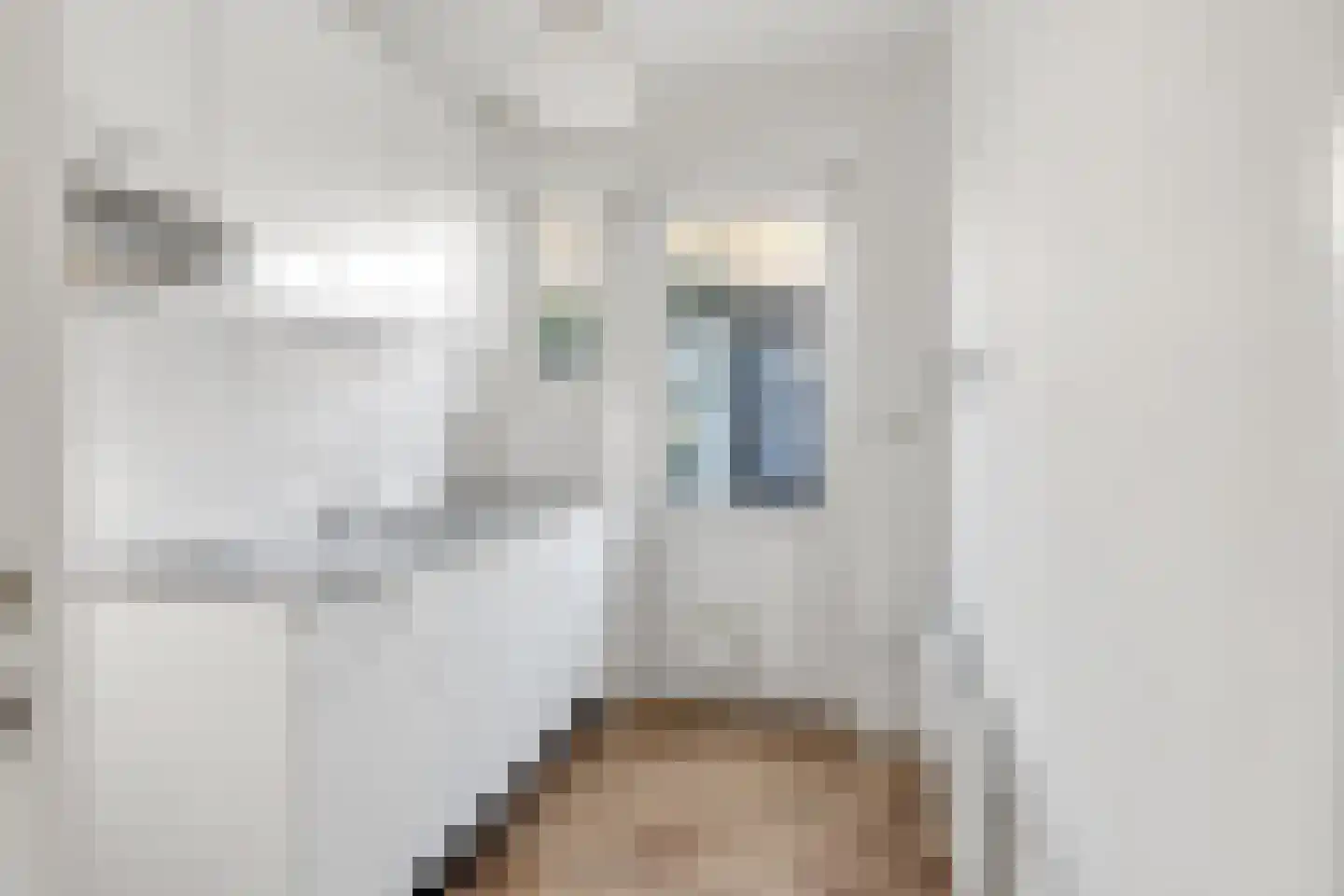 Zilvermeeuwstraat 7 Hilversum thumbnail 8